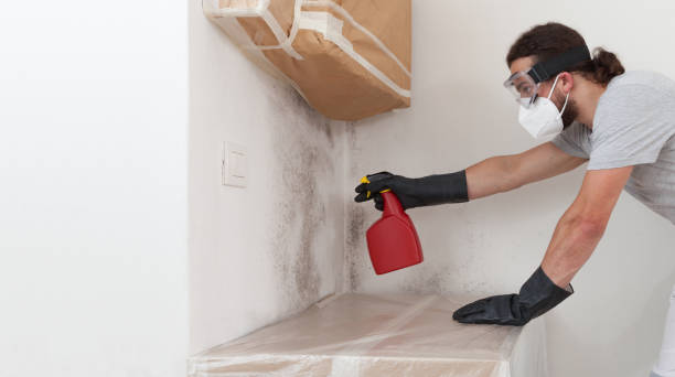 Professional Bathroom Mold Removal technician working in Bryn Mawr, PA