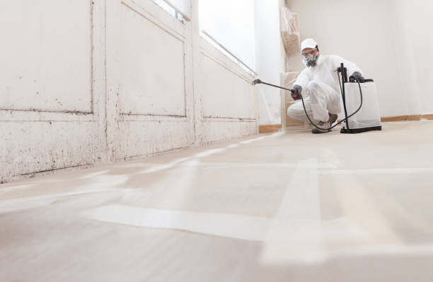 24/7 Emergency Bathroom Mold Removal experts in Bryn Mawr, PA