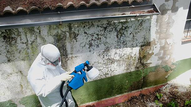 Top rated local Bathroom Mold Removal specialists in Bryn Mawr, PA